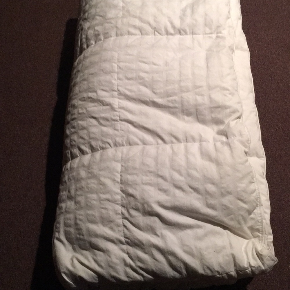 Eddie Bauer down comforter